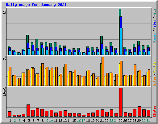 Daily usage for January 2021