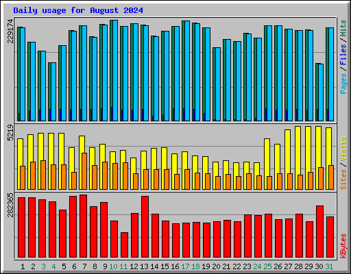 Daily usage for August 2024