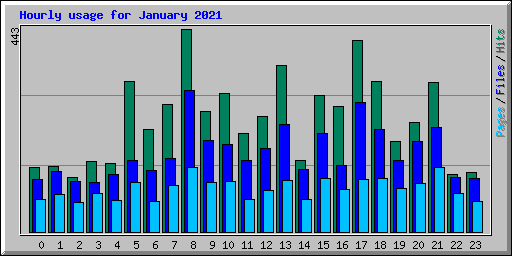 Hourly usage for January 2021