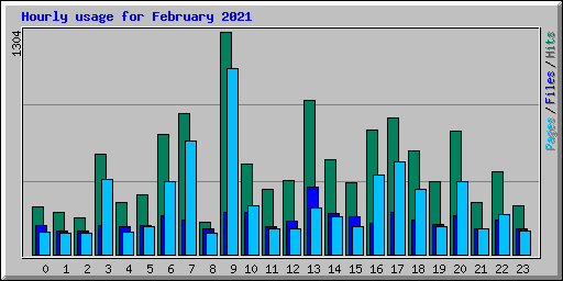 Hourly usage for February 2021