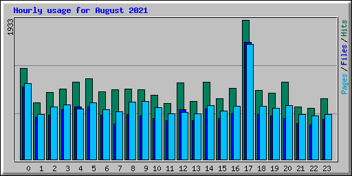 Hourly usage for August 2021