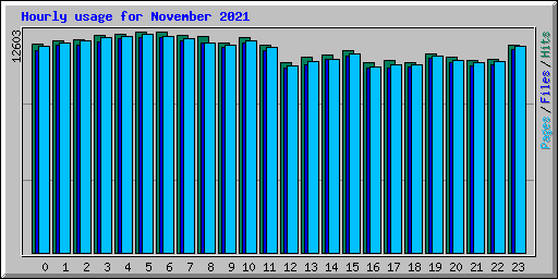 Hourly usage for November 2021