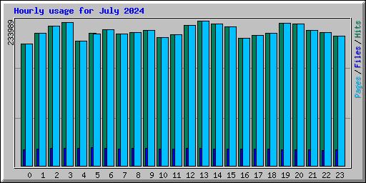 Hourly usage for July 2024