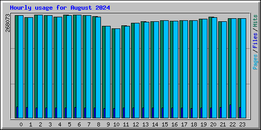 Hourly usage for August 2024