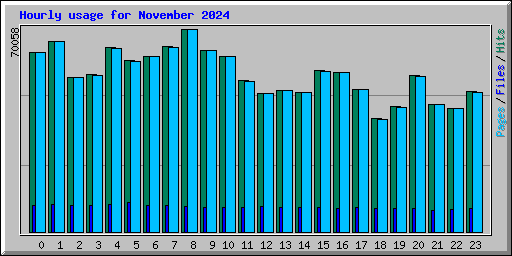 Hourly usage for November 2024