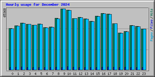 Hourly usage for December 2024