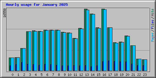 Hourly usage for January 2025