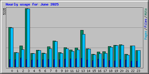 Hourly usage for June 2025