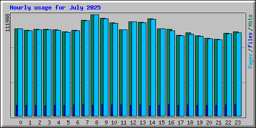 Hourly usage for July 2025