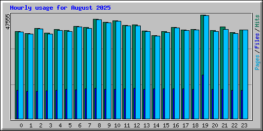 Hourly usage for August 2025