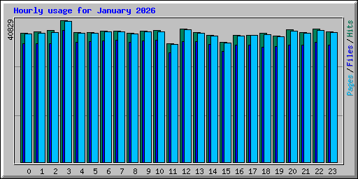 Hourly usage for January 2026