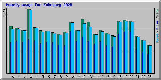 Hourly usage for February 2026