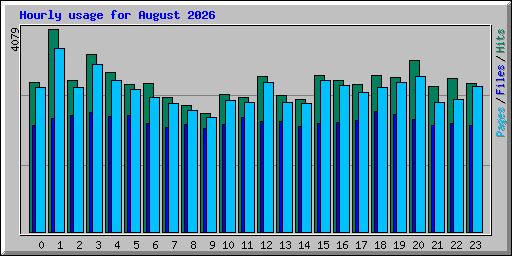 Hourly usage for August 2026
